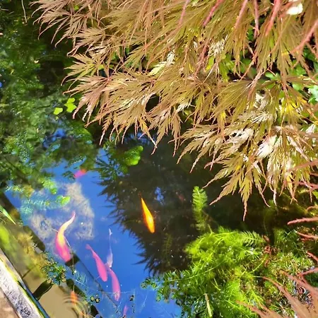 Romantic Nest With Free Parking Apartment *